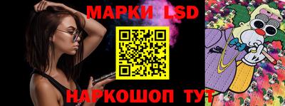 гидропоника Будённовск