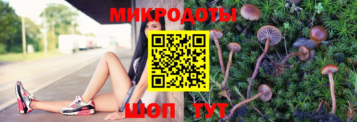 Беслан  Галлюциногенные грибы мицелий  Вход с VPN  Псилоцибиновые грибы Psilocybe 