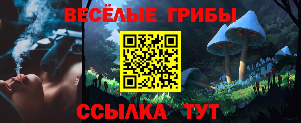 Галлюциногенные грибы Cubensis Беслан