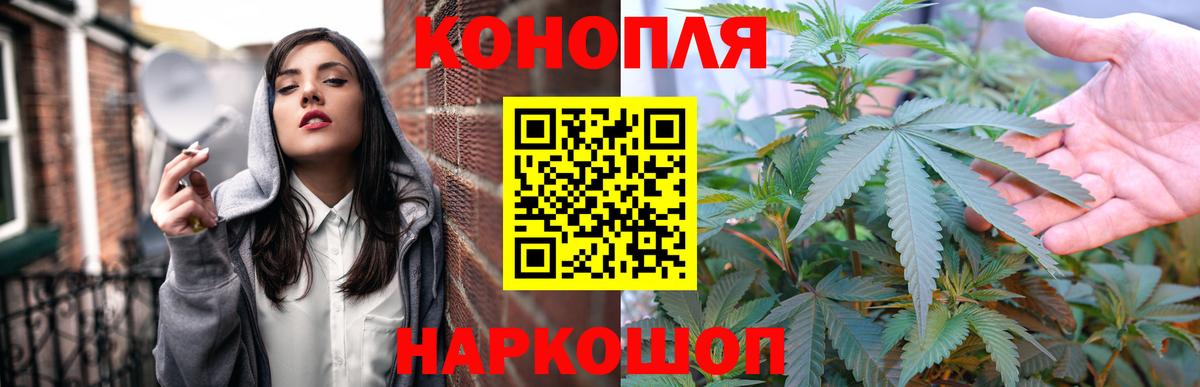 Бошки Шишки планчик Беслан